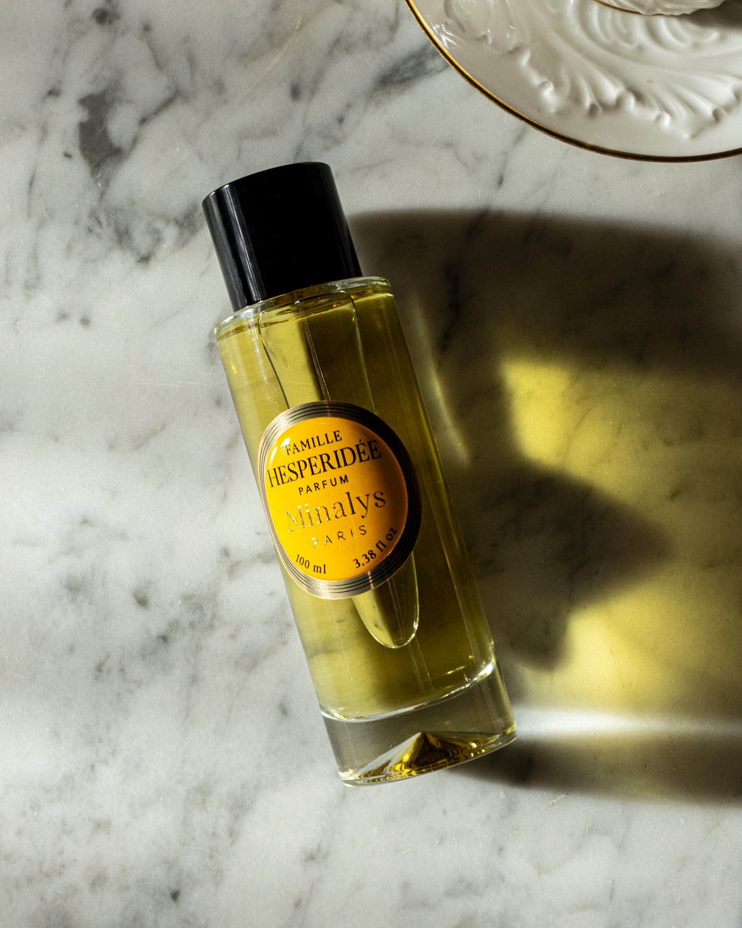 Famille Hespéridée