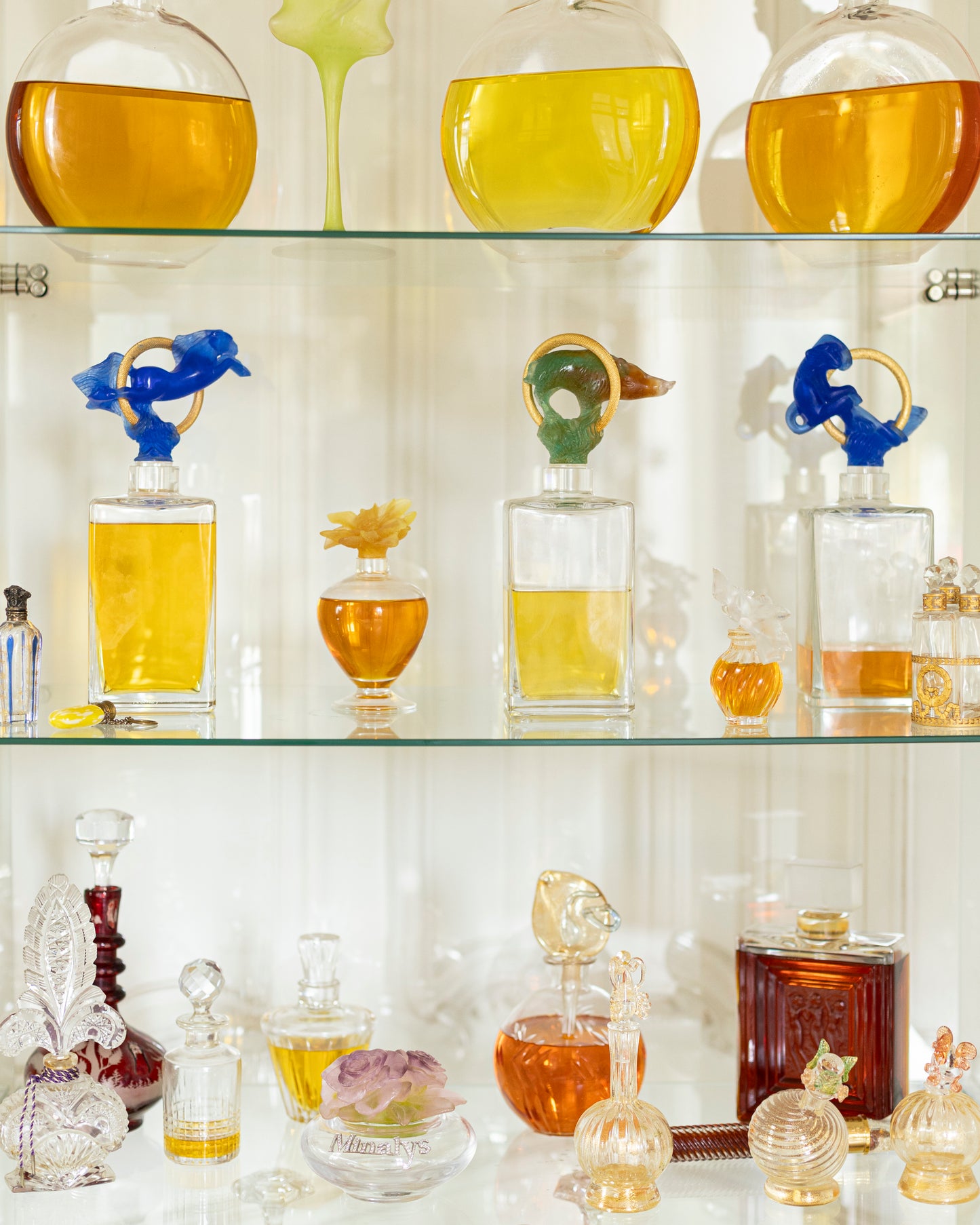 Initiation au monde du parfum