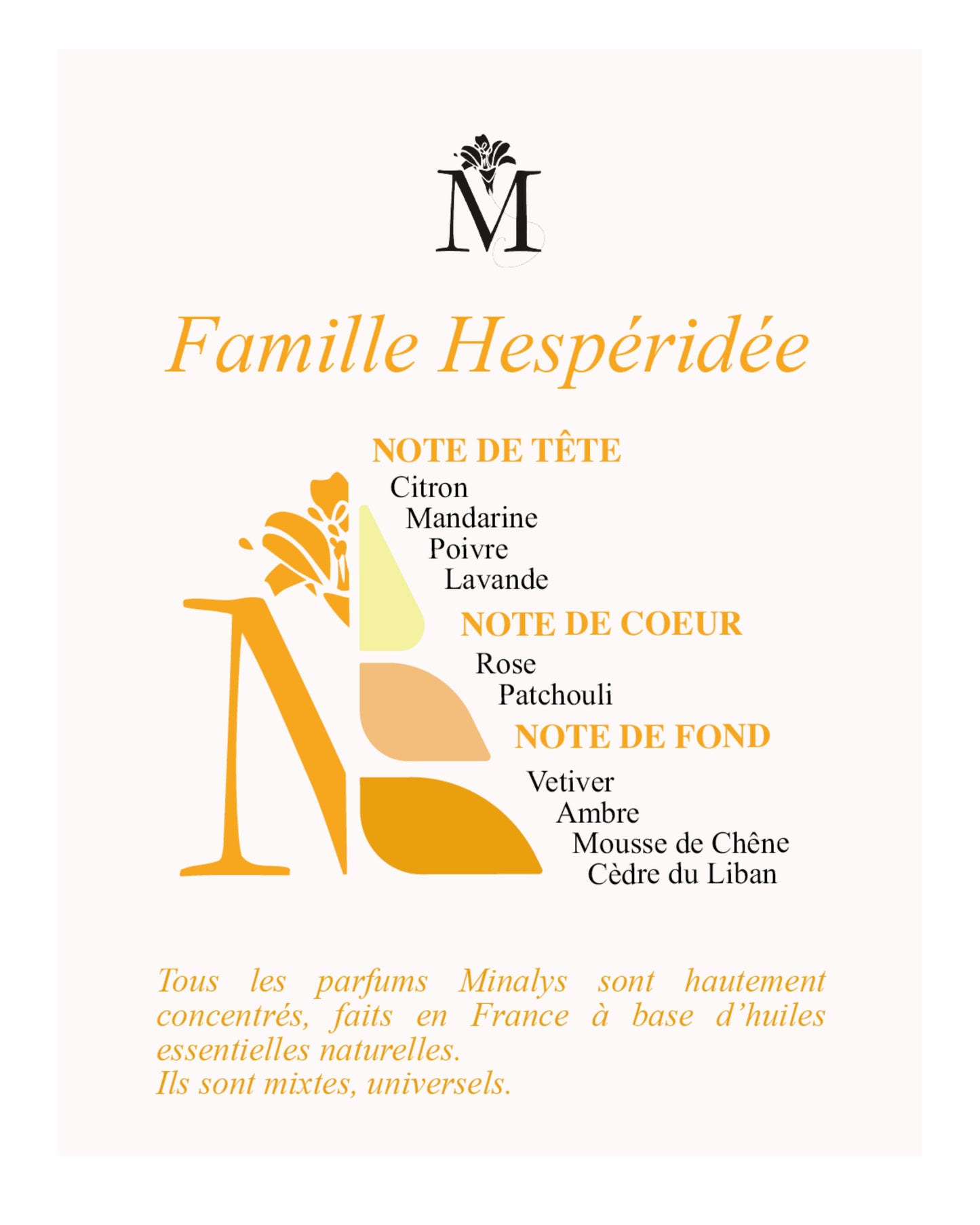 Famille Hespéridée
