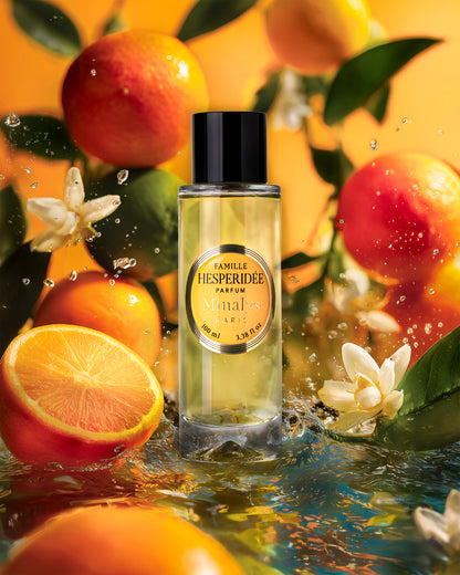 Famille Hespéridée